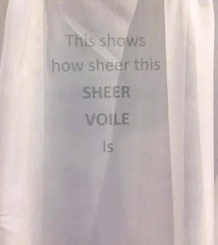 Sheer Voile Pinch Pleated Panel Pair
