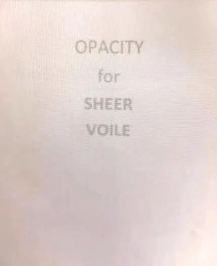 Sheer Voile Pinch Pleated Panel Pair