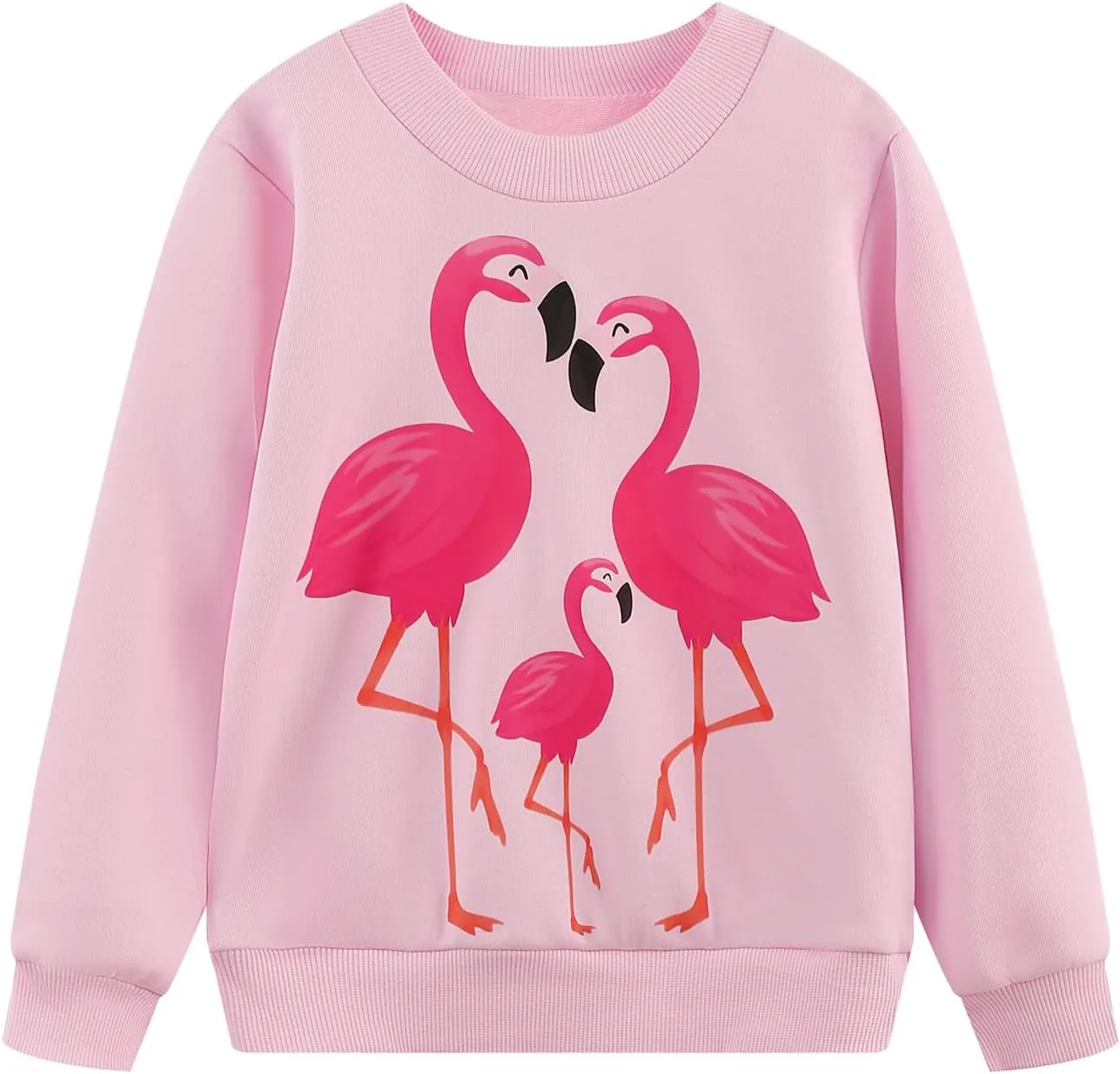 Toddler Baby Girls Sweatshirts Kids Winter Clothes Casual Long Sleeve Shirts Crewneck Pullover Sweater Tops 2T-7T